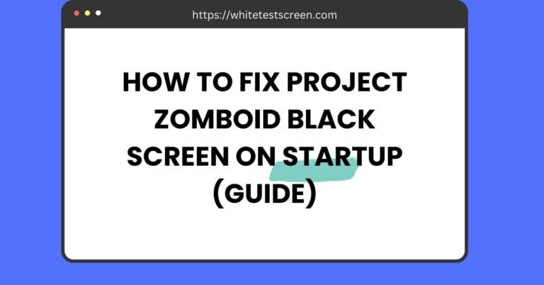 project zomboid black screen on startup